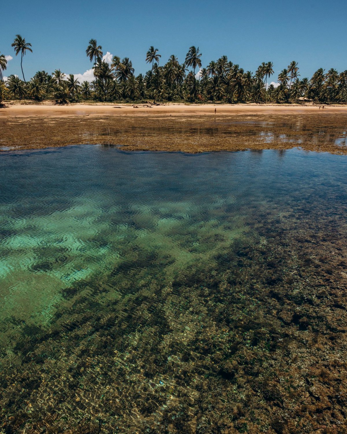 Guiadas pelas Marés, Maraú